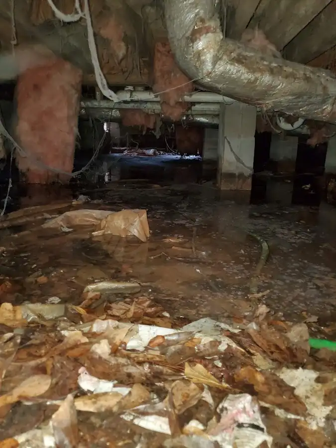 Crawl space flood assessment for Leak Detection & Repair in Eagle Pass